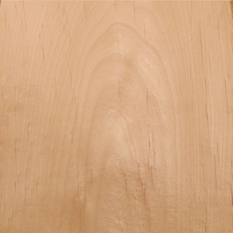 赤杨 Alder
