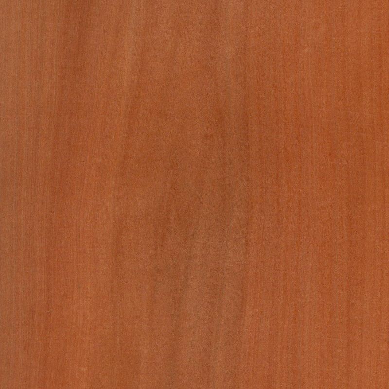 麦当娜山纹 Madrone Crown