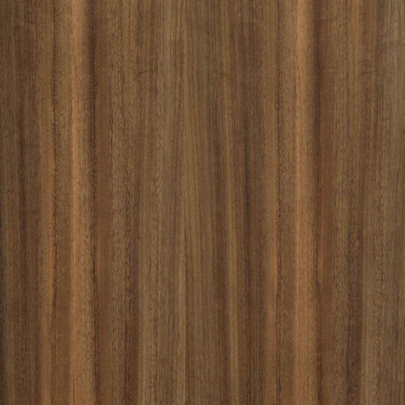 澳洲黑胡桃（昆士兰黑胡桃） Queensland Walnut