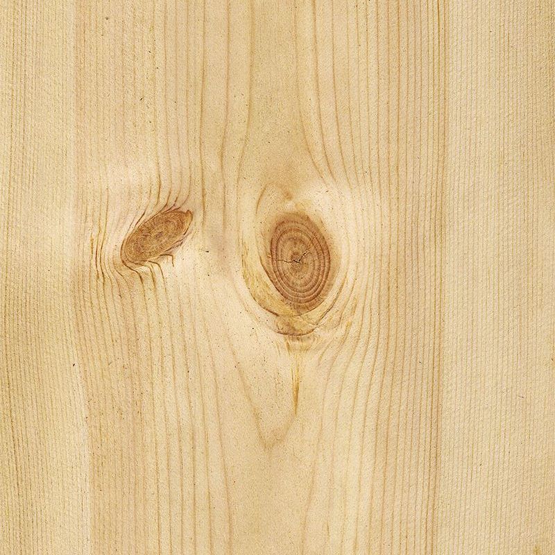 节松 Scots Pine knots