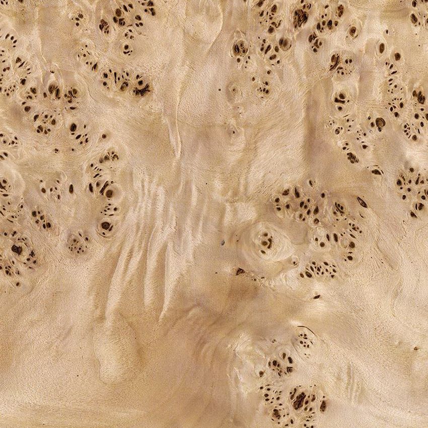白杨树瘤 Mappa Burl/ Poplar Burl