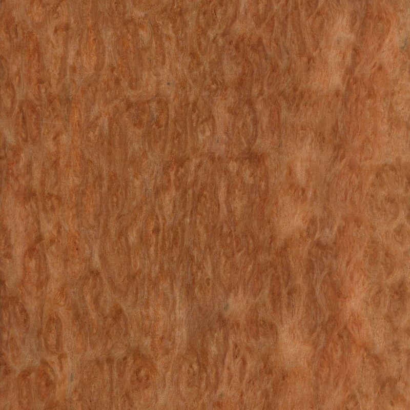 尤加利球纹 Eucalyptus Pommele