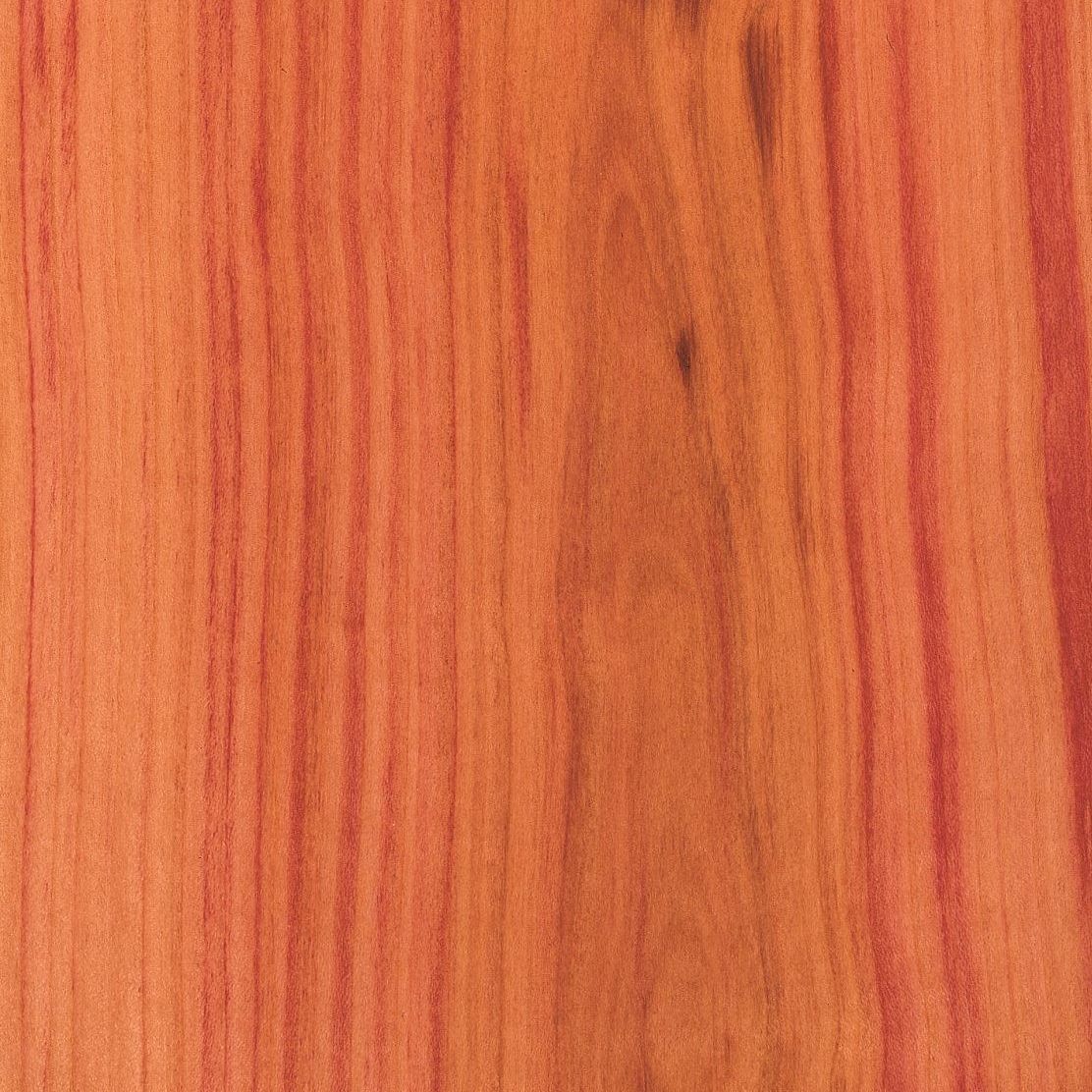 杨李树 Plum